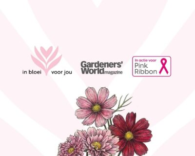 Cover voor Nederland en Vlaanderen kleuren roze: ‘In bloei voor jou’