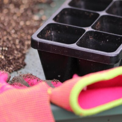 thumbnail voor Nederland en Vlaanderen kleuren roze: ‘In bloei voor jou’